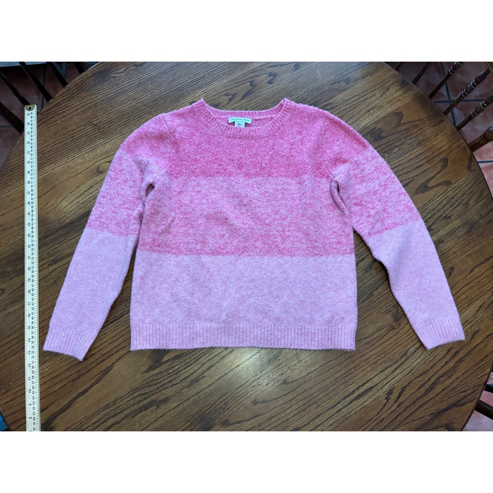 Cupcakes and Cashmere Pink Ombre Colorblock Crewneck Sweater Womens Large L